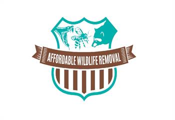 Affordable Wildlife Removal is a world renowned Veteran owned wildlife removal business.